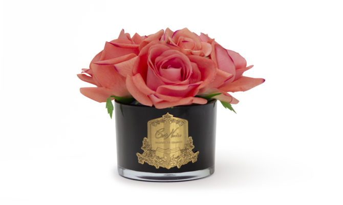 COTE NOIRE – FIVE ROSES – PEACH IN BLACK GLASS Product Image