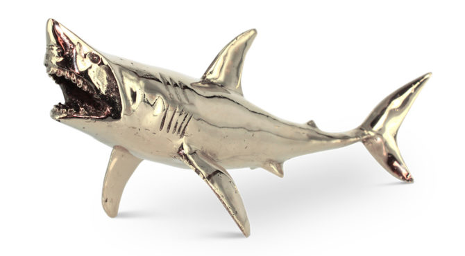 Finn – The Shark Product Image