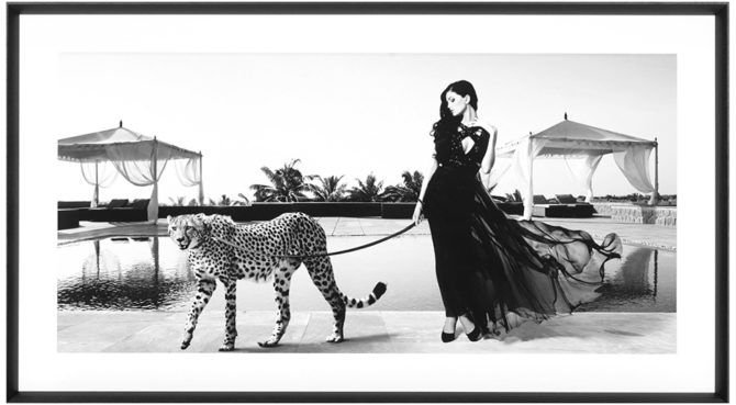Woman With Cheetah / PRINT – Q173 Product Image