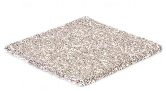 Shore Rug Product Image
