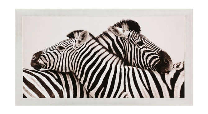 Zebras in Love /  PRINT -Q151 Product Image