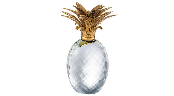 PINEAPPLE Product Image
