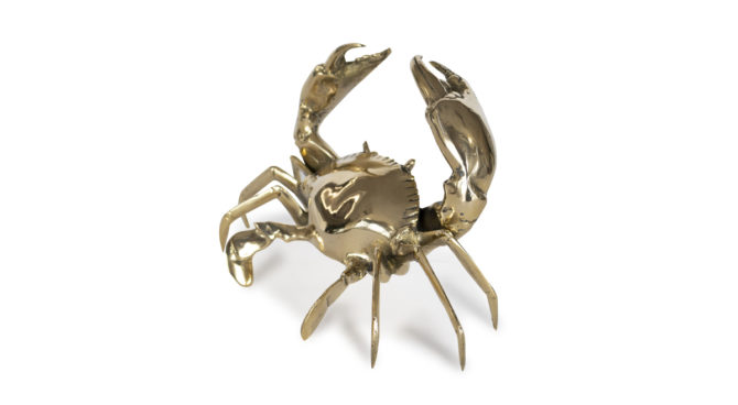 Sea Crab – Medium Product Image
