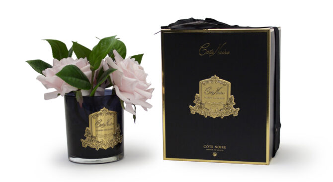 CÔTE NOIRE – English Roses in Dark Glass Product Image