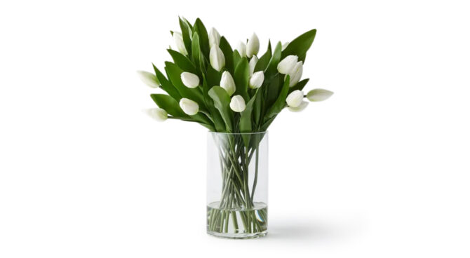 Tulip Mix in Vase – 45cm Product Image