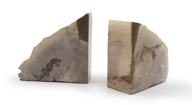 PETRIFIED WOOD BOOKENDS Product Image
